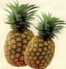 Bromelain